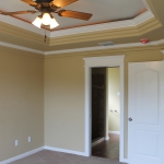 Ceiling Fan
